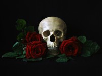 Custom Designed Cover-art - Basic